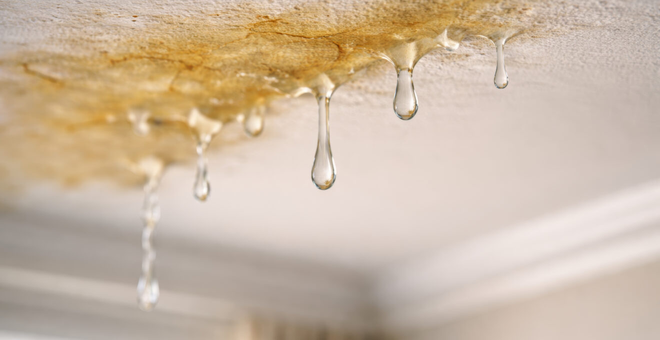 habitation contre les fuites d’eau